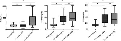 Association of serum Nrf2 protein levels with disease activity and renal impairment in lupus nephritis